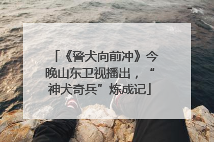 《警犬向前冲》今晚山东卫视播出，“神犬奇兵”炼成记
