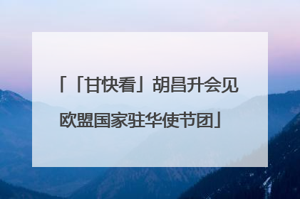 「甘快看」胡昌升会见欧盟国家驻华使节团