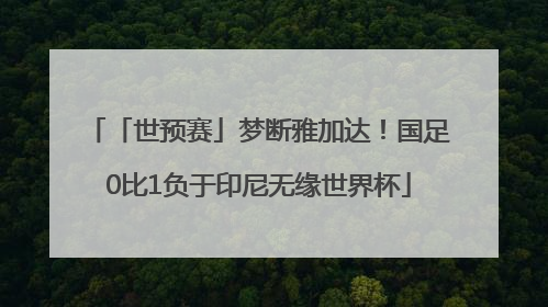 「世预赛」梦断雅加达！国足0比1负于印尼无缘世界杯
