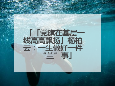 「党旗在基层一线高高飘扬」杨柏云：一生做好一件“兰”事