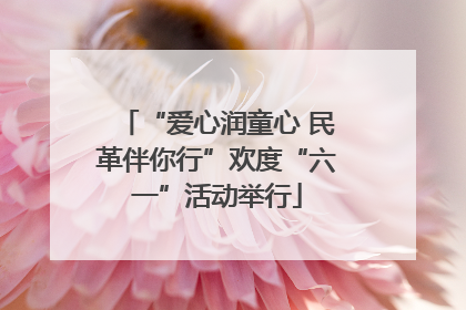 “爱心润童心 民革伴你行”欢度“六一”活动举行