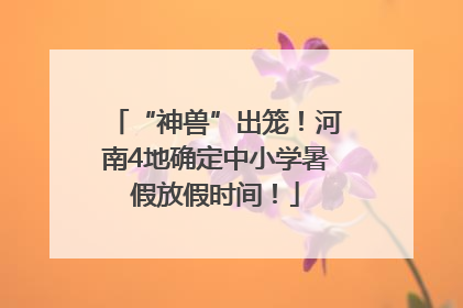 “神兽”出笼！河南4地确定中小学暑假放假时间！