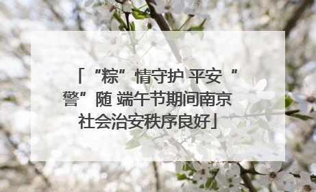 “粽”情守护 平安“警”随 端午节期间南京社会治安秩序良好