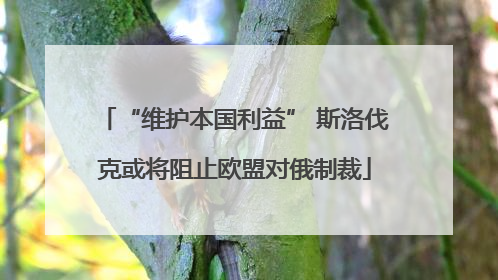 “维护本国利益” 斯洛伐克或将阻止欧盟对俄制裁