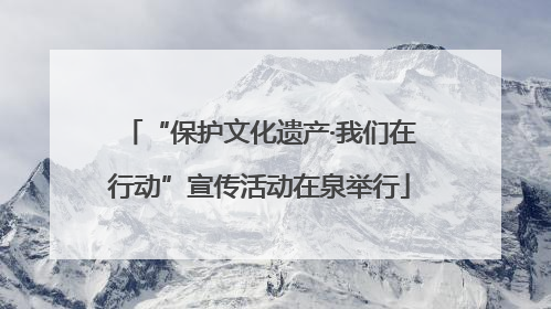 “保护文化遗产·我们在行动”宣传活动在泉举行
