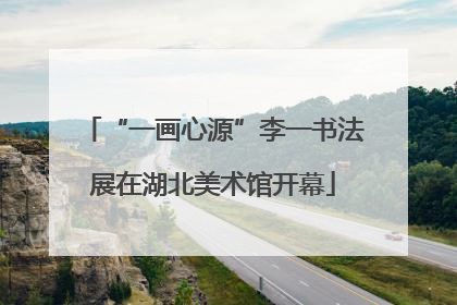 “一画心源”李一书法展在湖北美术馆开幕