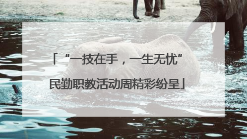 “一技在手，一生无忧” 民勤职教活动周精彩纷呈