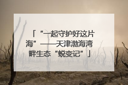 “一起守护好这片海”——天津渤海湾畔生态“蜕变记”