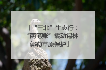 “三北”生态行：“两笔账”撬动锡林郭勒草原保护