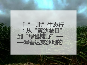 “三北”生态行：从“黄沙蔽日”到“绿毯铺野”——浑善达克沙地的“绿色重生”