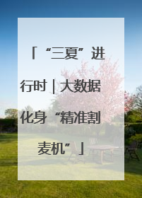 “三夏”进行时｜大数据化身“精准割麦机”