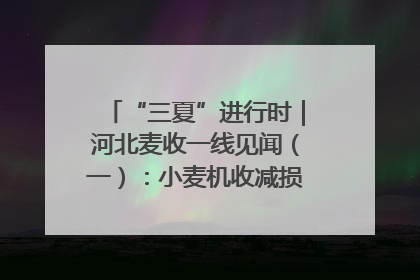 “三夏”进行时｜河北麦收一线见闻（一）：小麦机收减损“竞技” 农机高手麦田“过招”