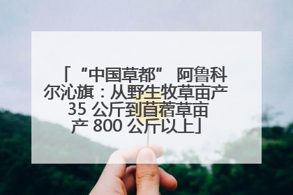 “中国草都” 阿鲁科尔沁旗：从野生牧草亩产 35 公斤到苜蓿草亩产 800 公斤以上