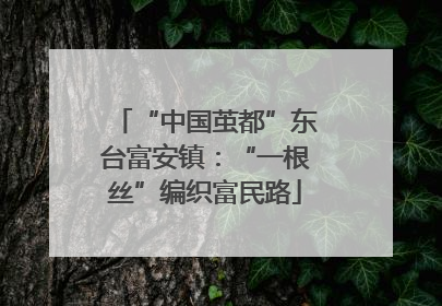 “中国茧都”东台富安镇：“一根丝”编织富民路