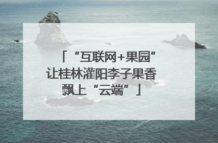 “互联网+果园”让桂林灌阳李子果香飘上“云端”