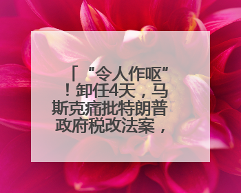 “令人作呕”！卸任4天，马斯克痛批特朗普政府税改法案，白宫回应