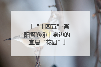 “十四五”·衡阳答卷④｜身边的宜居“花园”