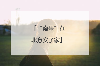 “南果”在北方安了家