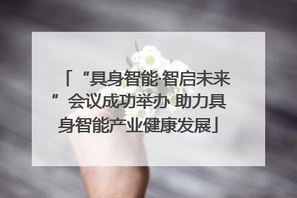 “具身智能·智启未来”会议成功举办 助力具身智能产业健康发展