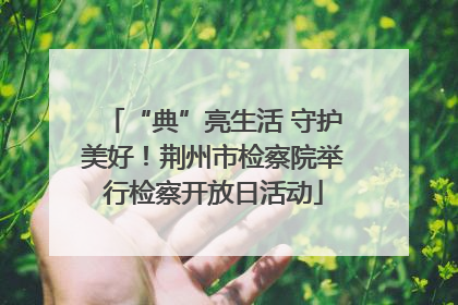 “典”亮生活 守护美好！荆州市检察院举行检察开放日活动