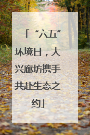 “六五”环境日，大兴廊坊携手共赴生态之约
