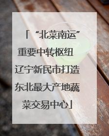“北菜南运”重要中转枢纽 辽宁新民市打造东北最大产地蔬菜交易中心