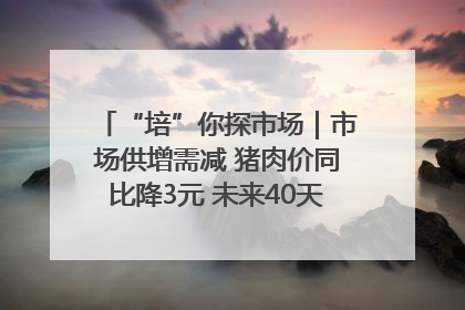 “培”你探市场｜市场供增需减 猪肉价同比降3元 未来40天便宜猪肉敞开吃