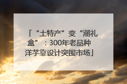 “土特产”变“潮礼盒”：300年老品种洋芋靠设计突围市场