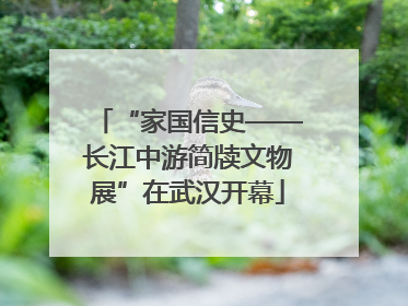 “家国信史——长江中游简牍文物展”在武汉开幕