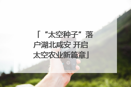 “太空种子”落户湖北咸安 开启太空农业新篇章
