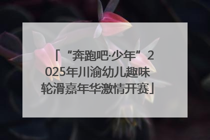 “奔跑吧·少年”2025年川渝幼儿趣味轮滑嘉年华激情开赛