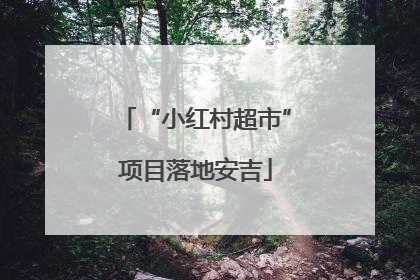 “小红村超市”项目落地安吉
