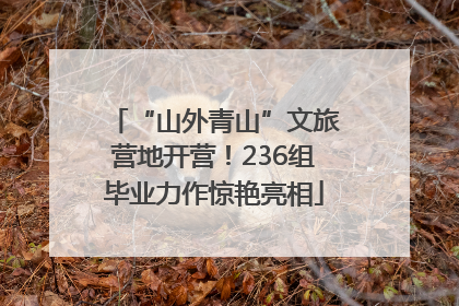 “山外青山”文旅营地开营！236组毕业力作惊艳亮相