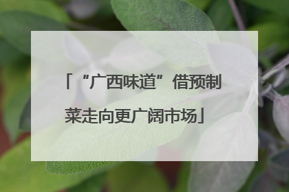 “广西味道”借预制菜走向更广阔市场