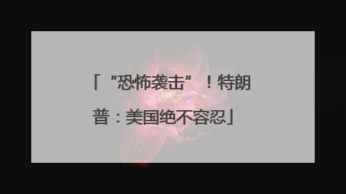 “恐怖袭击”！特朗普：美国绝不容忍