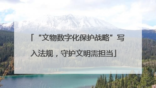 “文物数字化保护战略”写入法规，守护文明需担当