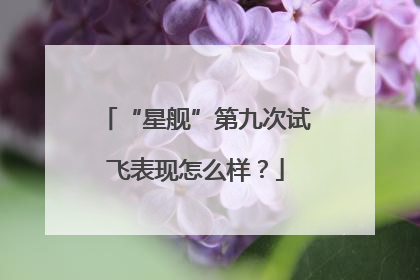 “星舰”第九次试飞表现怎么样？