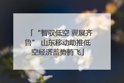 “智驭低空 翼展齐鲁” 山东移动助推低空经济蓄势腾飞