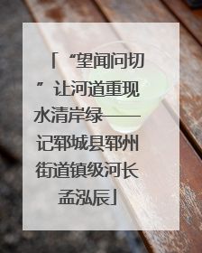“望闻问切”让河道重现水清岸绿——记郓城县郓州街道镇级河长孟泓辰
