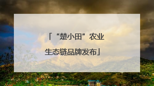 “楚小田”农业生态链品牌发布