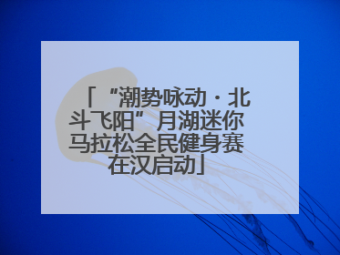 “潮势咏动・北斗飞阳”月湖迷你马拉松全民健身赛在汉启动