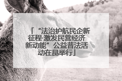 “法治护航民企新征程·激发民营经济新动能”公益普法活动在昆举行