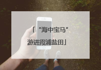 “海中宝马”游进霞浦盐田