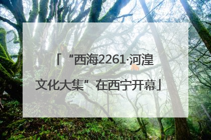 “西海2261·河湟文化大集”在西宁开幕