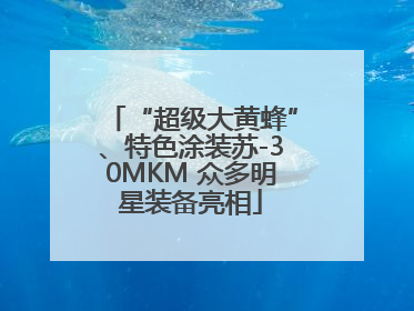 “超级大黄蜂”、特色涂装苏-30MKM 众多明星装备亮相