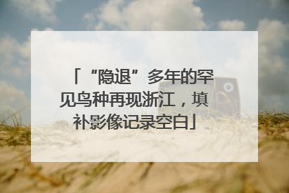 “隐退”多年的罕见鸟种再现浙江，填补影像记录空白
