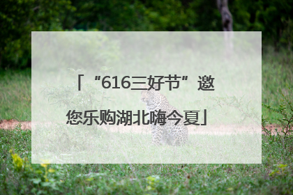 “616三好节”邀您乐购湖北嗨今夏