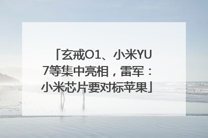 玄戒O1、小米YU7等集中亮相，雷军：小米芯片要对标苹果