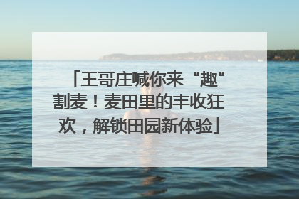 王哥庄喊你来“趣”割麦！麦田里的丰收狂欢，解锁田园新体验