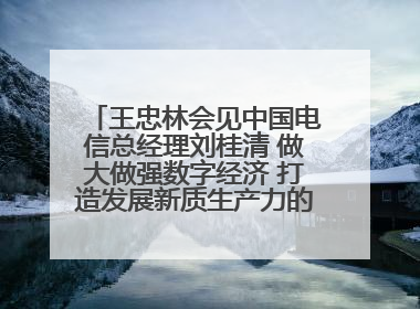 王忠林会见中国电信总经理刘桂清 做大做强数字经济 打造发展新质生产力的强劲引擎
